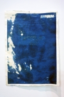 https://mail.jo-eytang.com/files/gimgs/th-45_45_jt10artforumcyanotype150.jpg