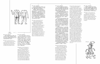 https://mail.jo-eytang.com/files/gimgs/th-69_69_tylercoburnleap44c.png