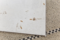 https://mail.jo-eytang.com/files/gimgs/th-81_81_media1830.jpg