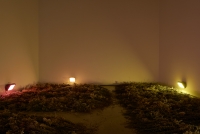 https://mail.jo-eytang.com/files/gimgs/th-90_INSTANCE1-13-MA-MS.jpg